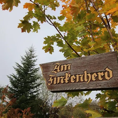 Ferienhaeuser In Allrode Holiday home Thale